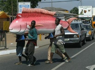 ghanaian-coffinfish.jpg